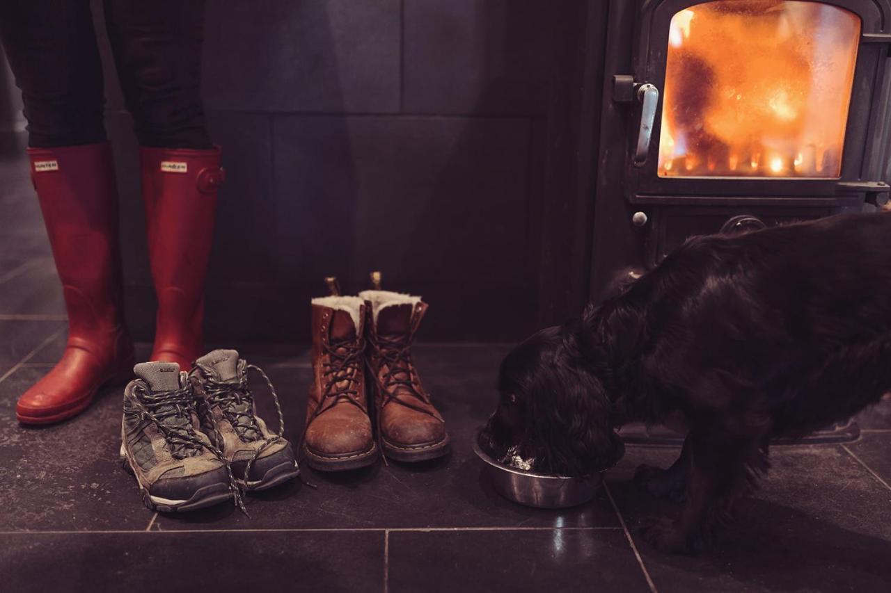 Longlands Inn & Cottages Carnforth Εξωτερικό φωτογραφία A dog in front of a wood burning stove